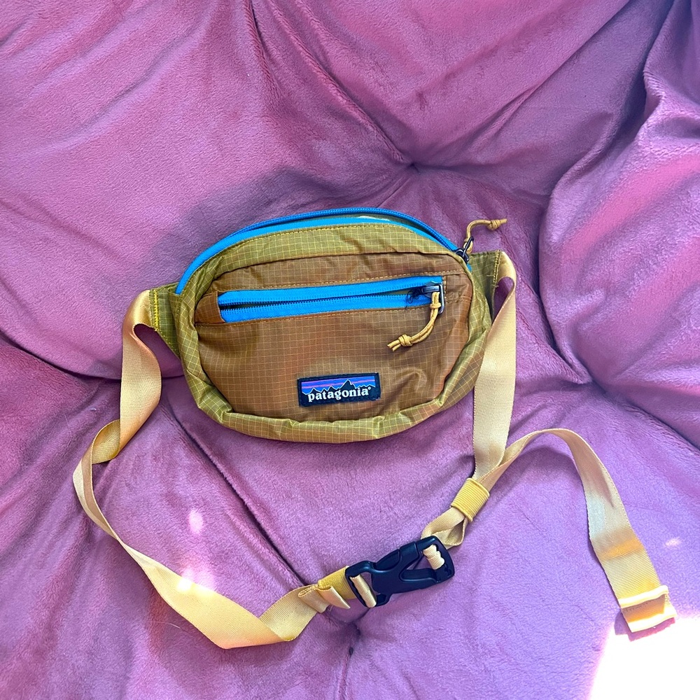 Patagonia Fanny Pack